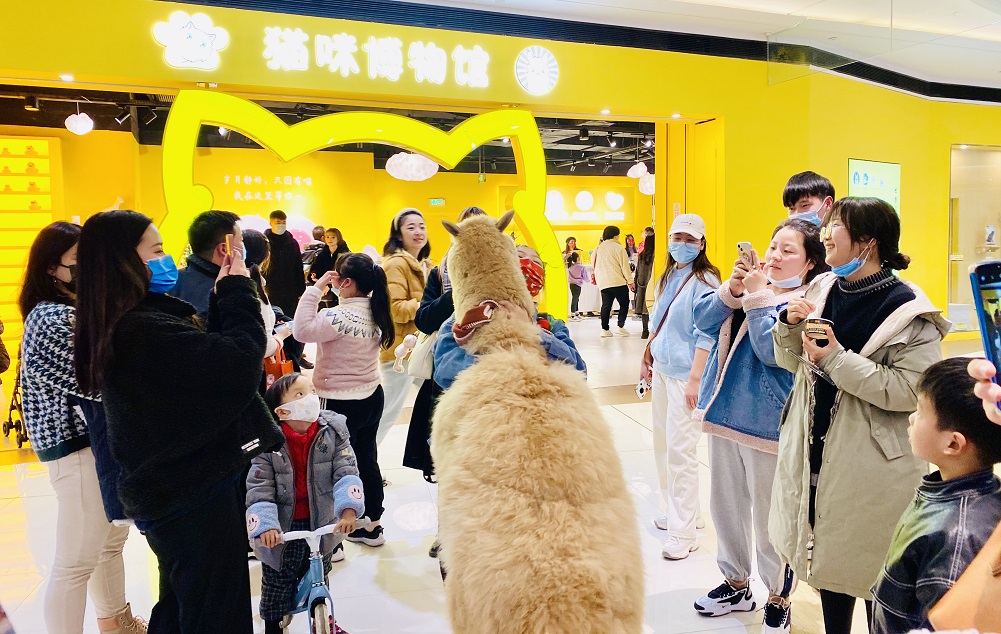 èß䲩Îï¹Ý1.jpg èß䲩Îï¹Ý1.jpg