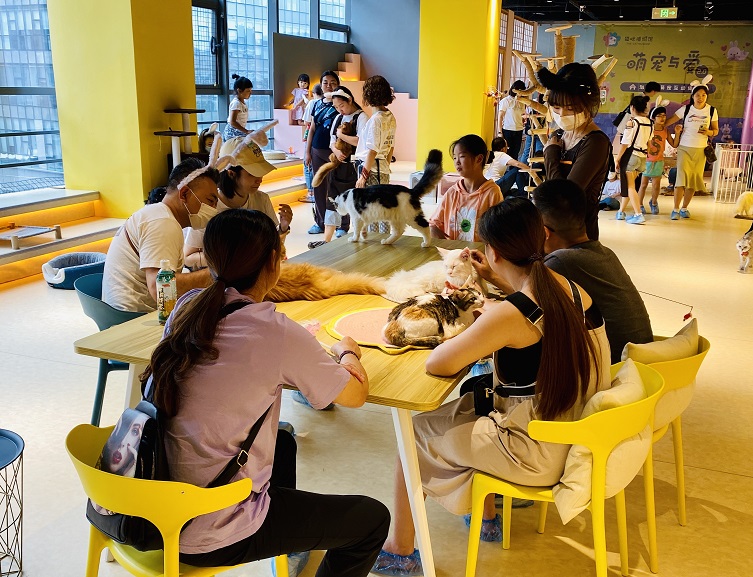 èß䲩Îï¹Ý2.jpg èß䲩Îï¹Ý2.jpg